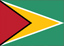 Bandera de Guyana